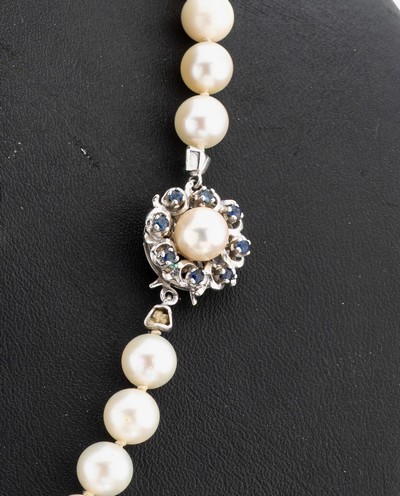 27060414a - Perl-Collier mit 18 kt Gold Saphir- Schmuckschließe, WG 750/000, Akoyazuchtperlen, D. ...