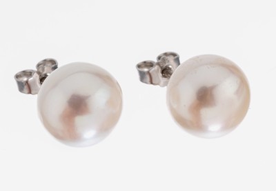 Image Paar Perl-Ohrstecker, 925er Silber, 2 weißeSüßwasserzuchtperl-Boutons, D. ca. 11.5 ...