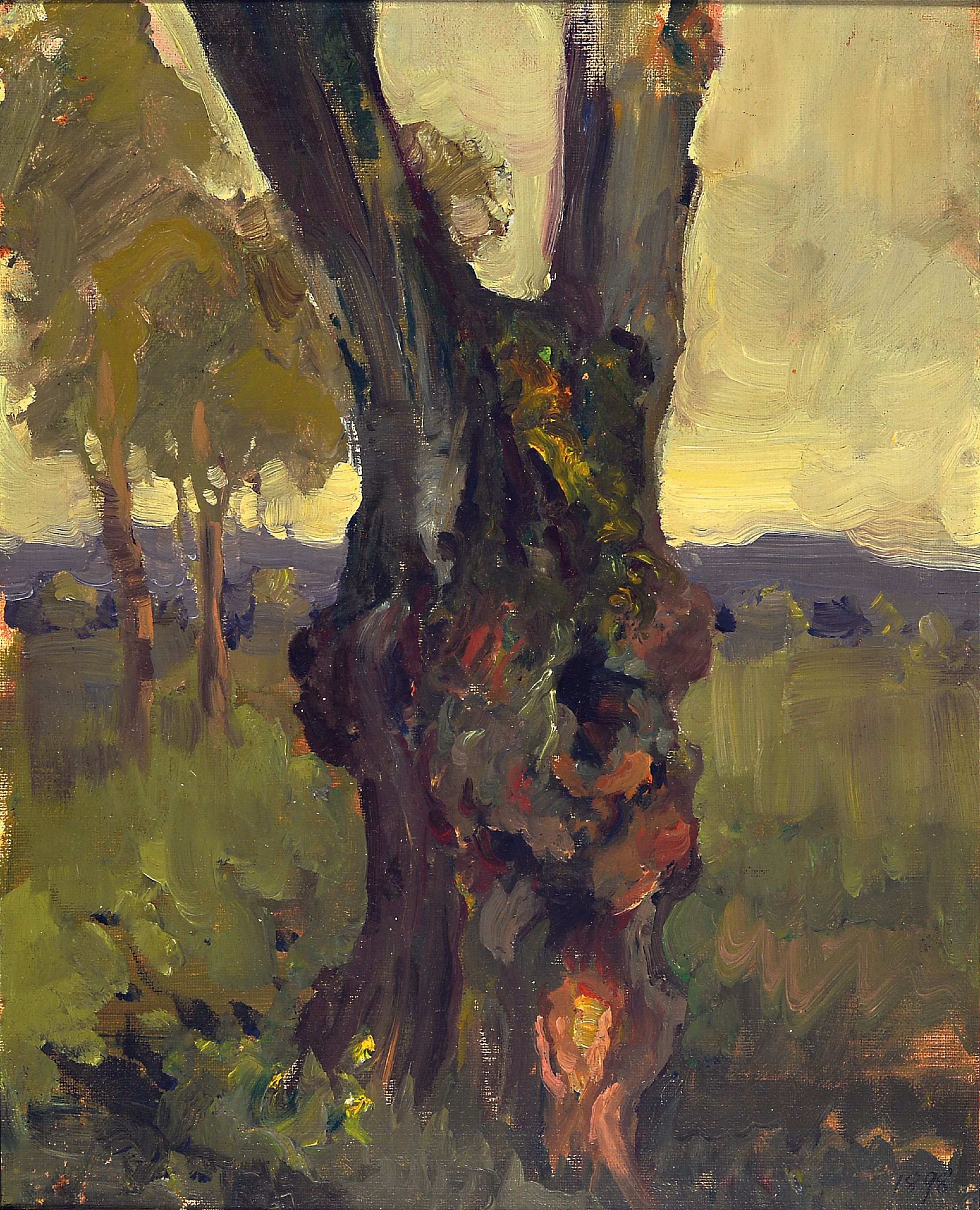 Image 27061114 - Maria Kreichgauer, 1874-1952 Rheinzabern, Knorriger Baum in Wiesenlandschaft, Öl/ ...