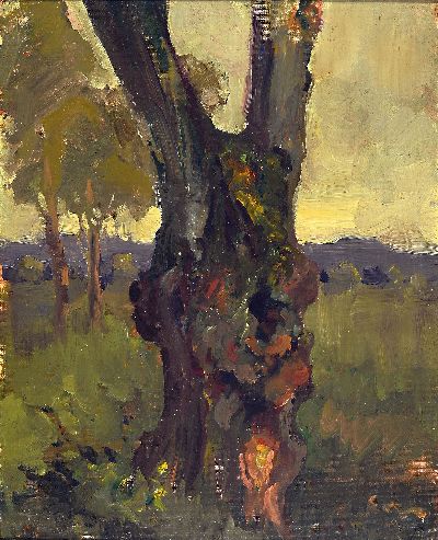 Image Maria Kreichgauer, 1874-1952 Rheinzabern, Knorriger Baum in Wiesenlandschaft, Öl/ ...