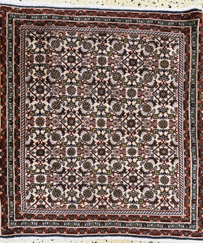 27062660a - 3 Lots Sarogh & Bidjar, Persien, Anfang 20.Jhd, Wolle auf Baumwolle, ca. 135 x 79 cm ...