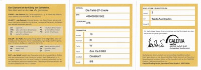 27063040a - Paar 9 kt Gold Perl-Diamant-Ohrcreolen, GG 375/000, bewegl. abgehangene ...