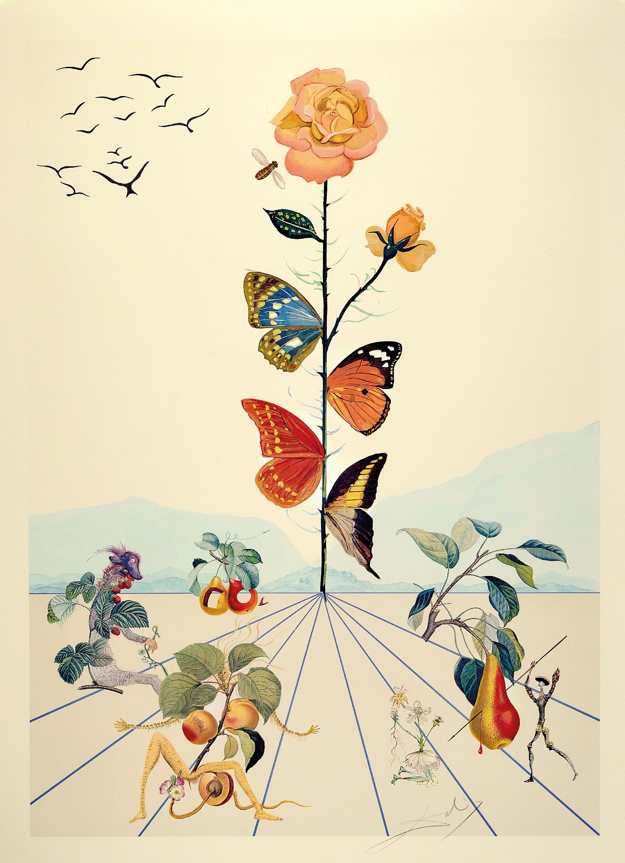 Image 27063725 - Salvador Dali,1904-1989, Flordali II, Schmetterlingsrose, 5000 Ex. auf festem Papier, ...