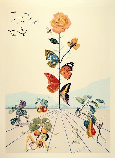 Image Salvador Dali,1904-1989, Flordali II, Schmetterlingsrose, 5000 Ex. auf festem Papier, ...