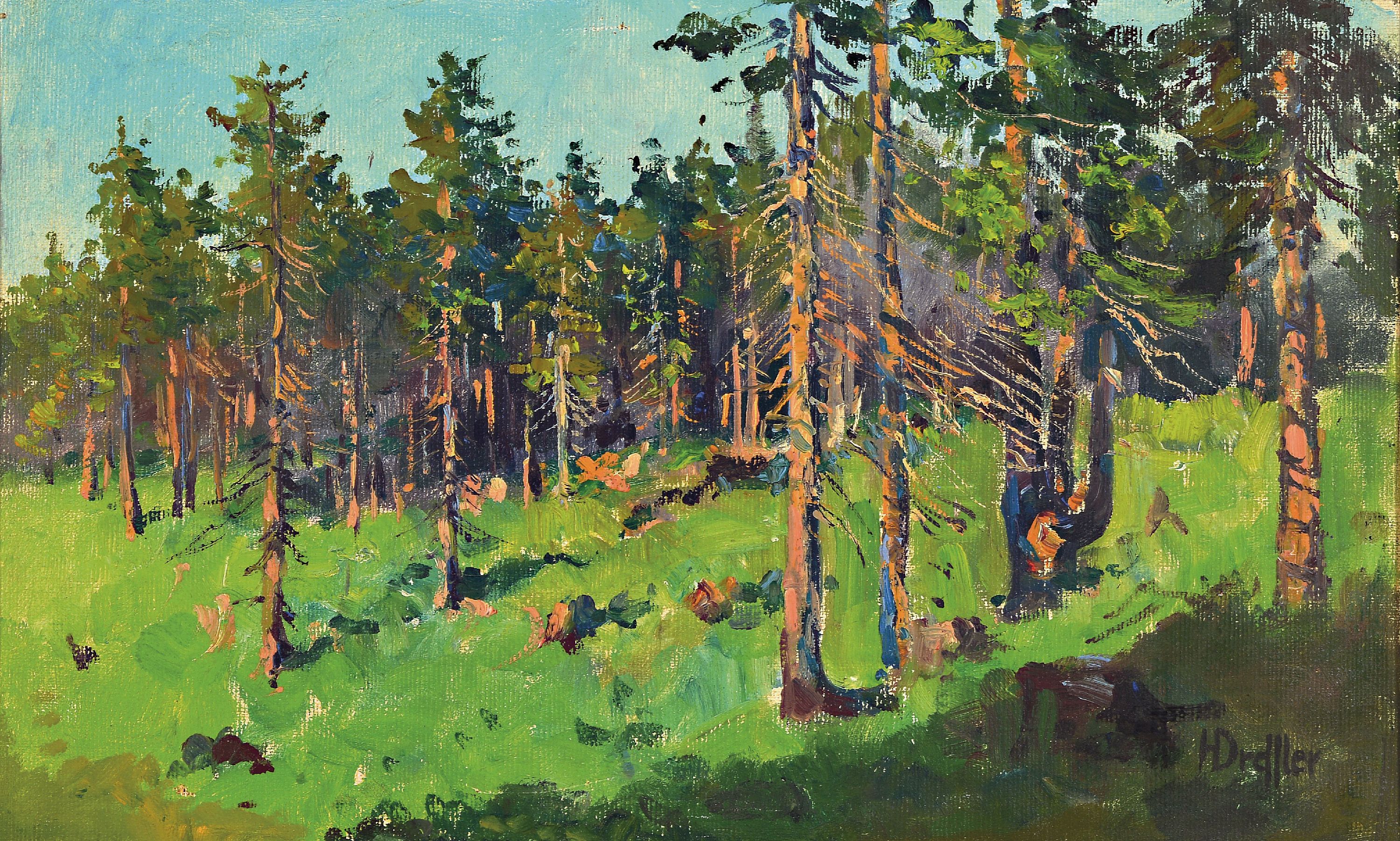 Image 27065247 - Hans Dressler, 1869-1943 Breslau, Waldhang mit Fichten in Sonnenlicht, rechts unten ...