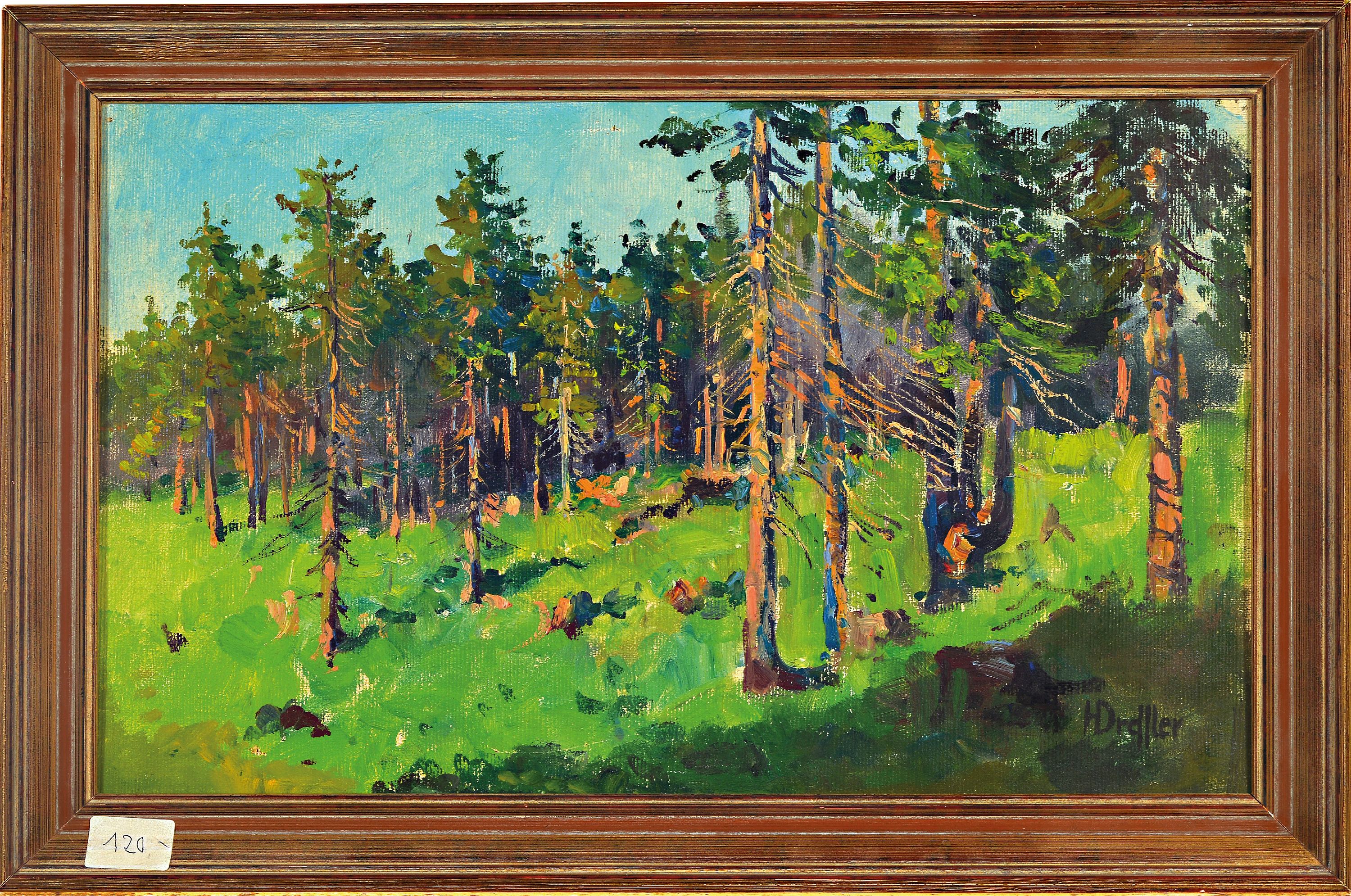 Detail k: Hans Dressler, 1869-1943 Breslau, Waldhang mit Fichten in Sonnenlicht, rechts unten signiert, Öl/Lwd auf Karton doubliert (wellig), 25x40 cm, Rahmen ...