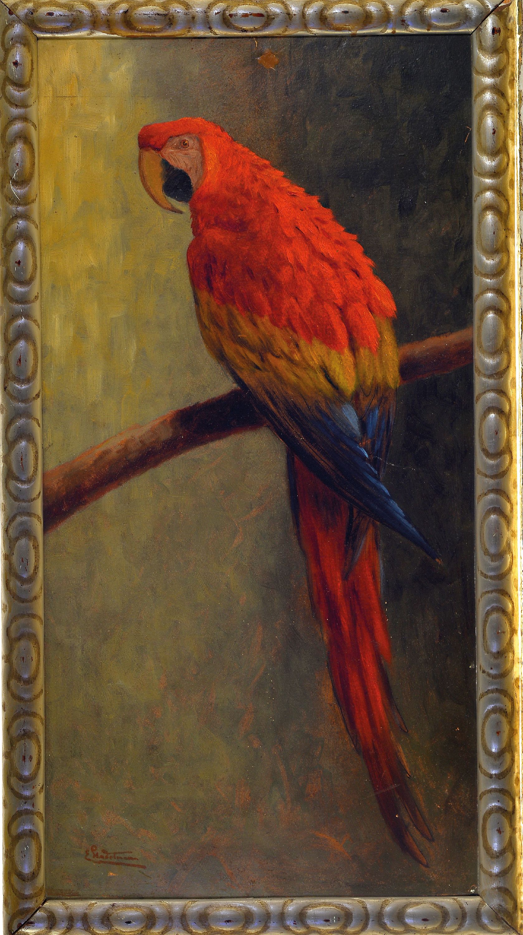Detail k: Ernst Philip Stadelmann, 1894 München-1972 Rom, Scharlachara auf einem Ast sitzend, Darstellung in stiltyp. Manier, wohl frühes Werk, links unten ...