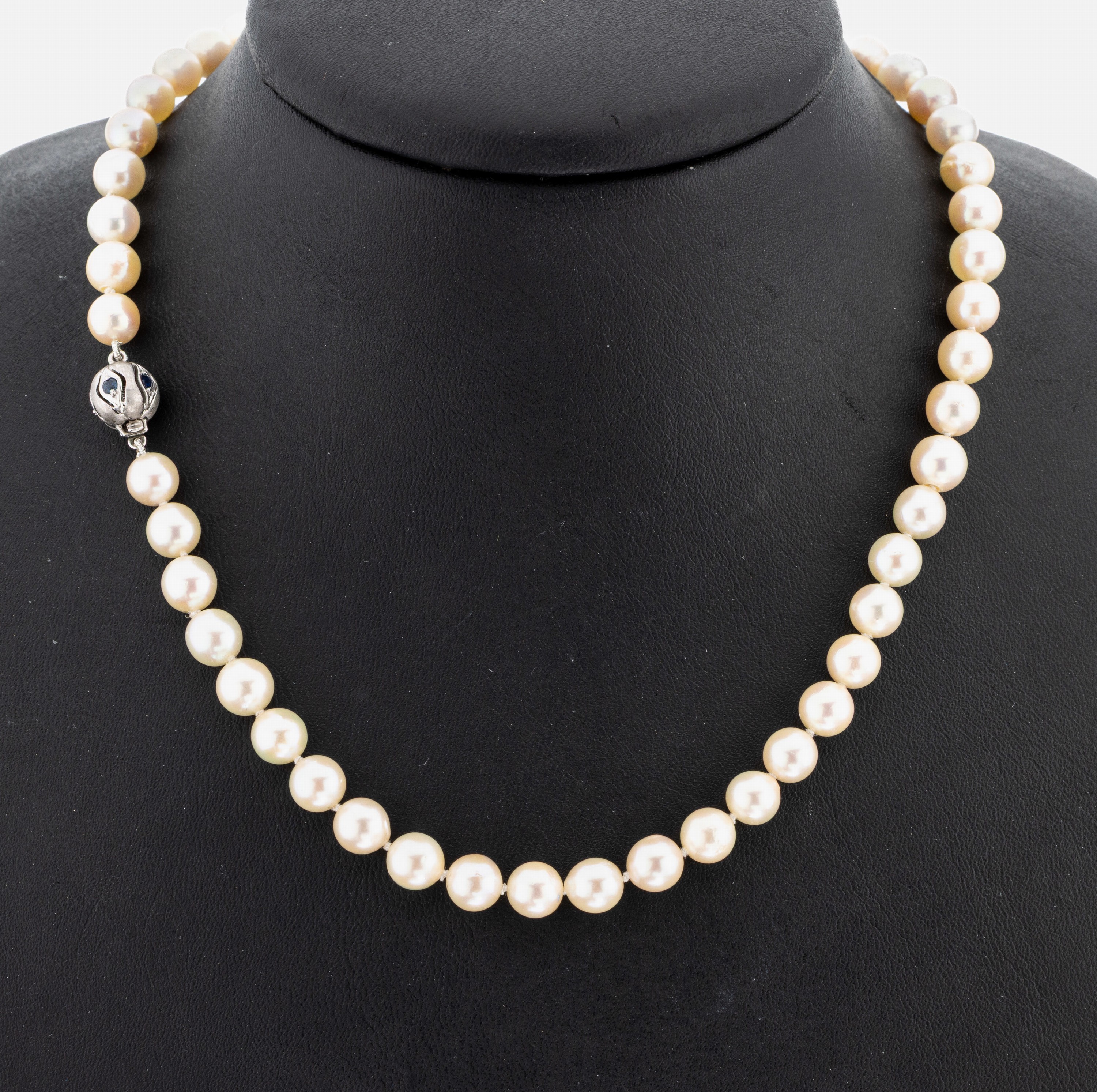 Image 27068439 - Zuchtperl-Collier mit 14 kt Gold Saphir- Schließe, WG 585/000, Akoyazuchtperlen, D. ...