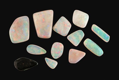 27069935b - Lot 12 lose Opale, zus. ca. 28.52 ct, Cabochons in versch. Größen und Formen