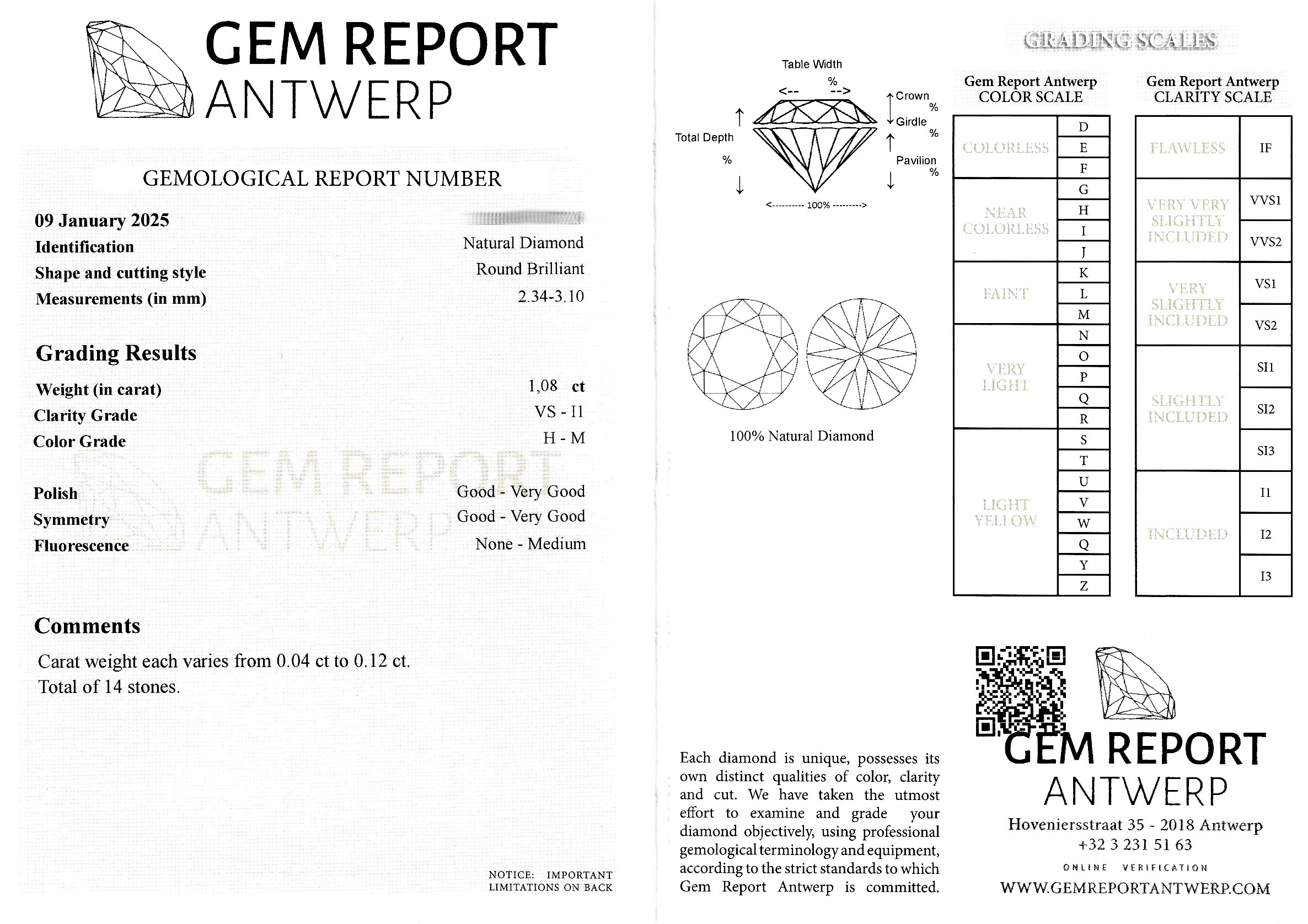 Detail a: 14 lose Brillanten zus. ca. 1.08 ct Weiß- Getönt(M)/vs-p1, 0.04 ct-0.12 ct, GEM Report