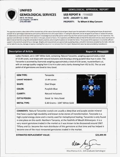 27071748a - 10 kt Gold Tansanit-Brillant-Anhänger, WG 417/000, Blütenform, 4 ovalfacett. ...