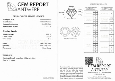 27071790a - 11 lose Brillanten zus. ca. 1.13 ct hochfeinesWeiß (E)-l.get. Weiß (J)/vs-si, 0.04 - ...