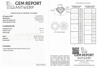 27071796a - 14 lose Brillanten zus. ca. 1.08 ct Weiß- Getönt(M)/vs-p1, 0.04 ct-0.12 ct, GEM Report