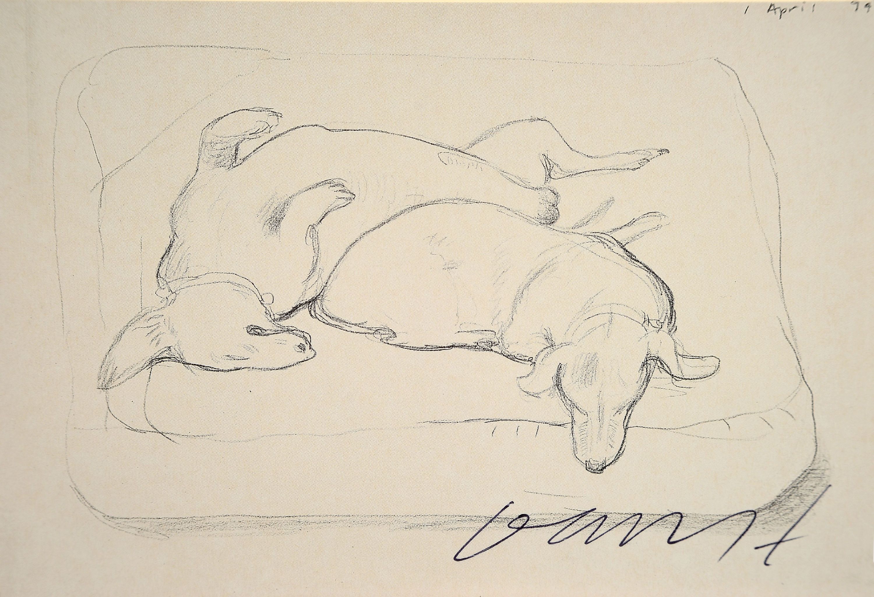 Image 27072063 - David Hockney, geb.1937, Kunstpostkarte, ´Stanley and Boodge´, handsign., ca.11x15,5 cm