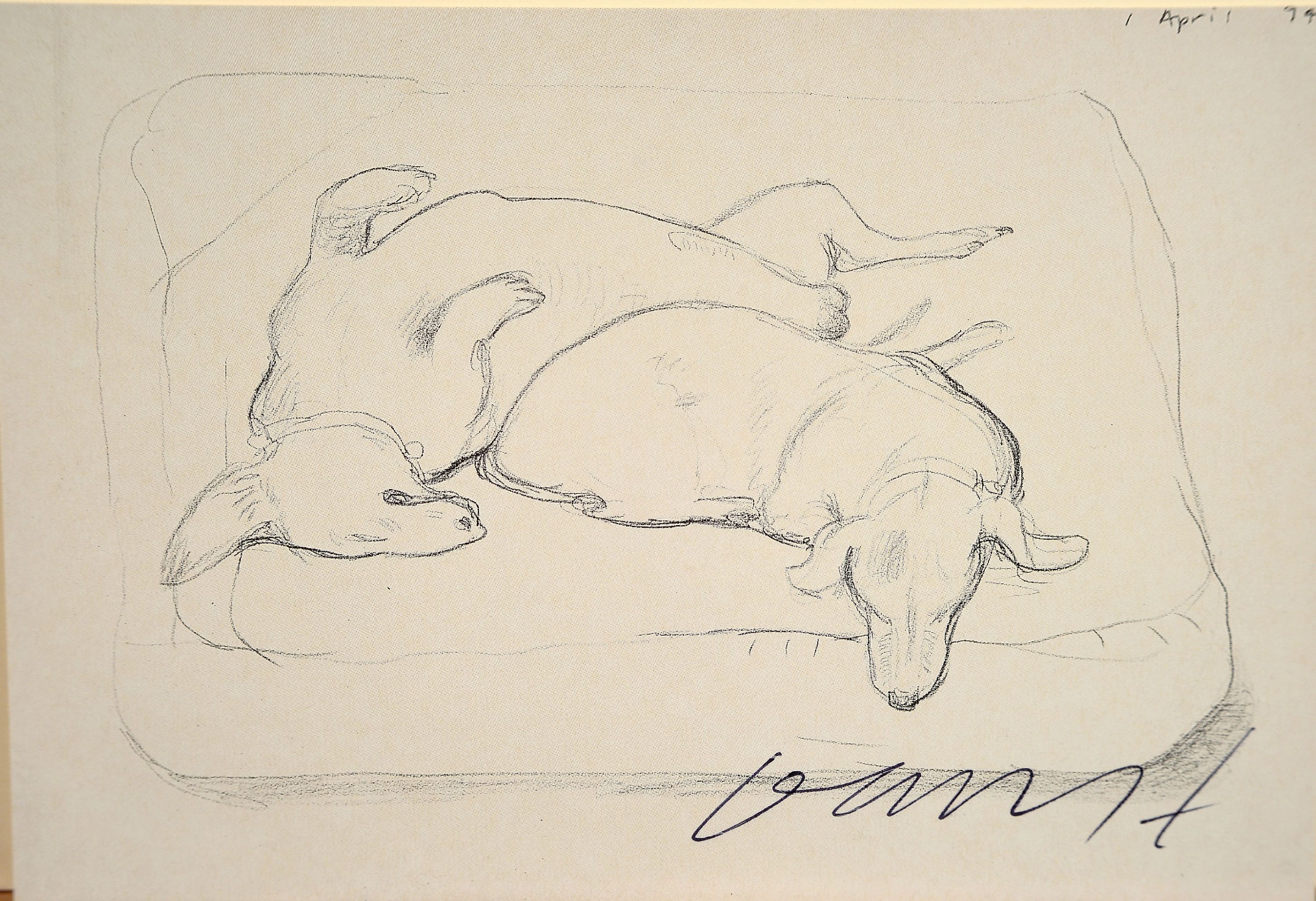 Detail k: David Hockney, geb.1937, Kunstpostkarte, "Stanley and Boodge", handsign., ca.11x15,5 cm
