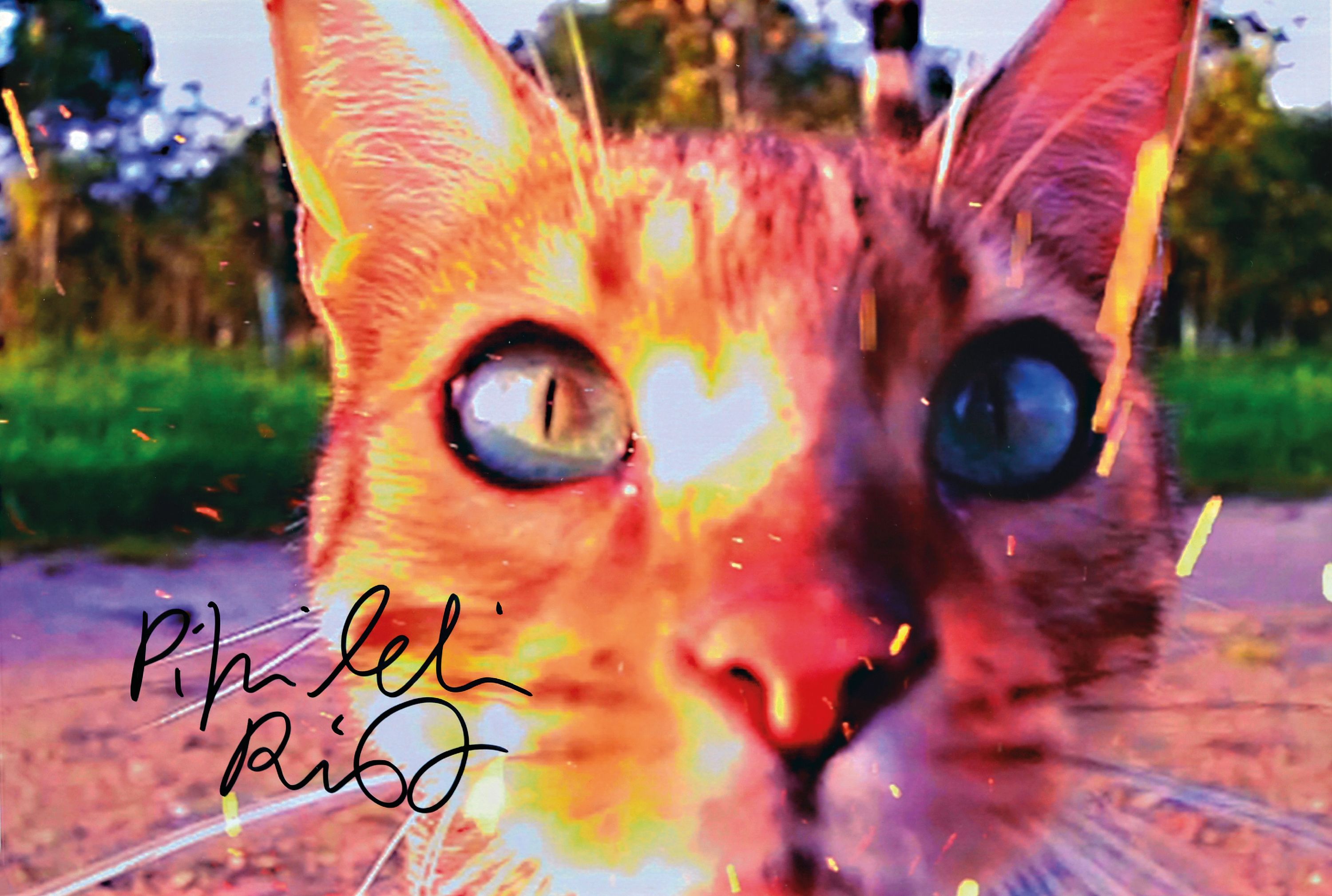 Image 27072073 - Pipilotti Rist, geb. 1962, Digital-Foto, handsign., auf Kodak Fotopapier, ca. 20x29 cm