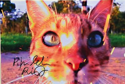 27072073k - Pipilotti Rist, geb. 1962, Digital-Foto, handsign., auf Kodak Fotopapier, ca. 20x29 cm