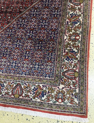 27072202a - Bidjar fein, Persien, Mitte 20.Jhd, Korkwolle auf Baumwolle, ca. 340 x 260 cm, EHZ: 2 ...