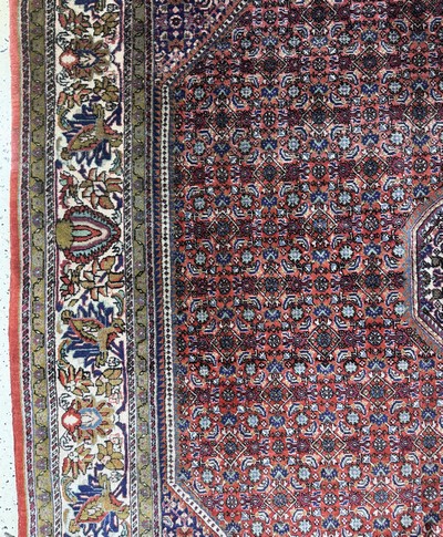 27072202c - Bidjar fein, Persien, Mitte 20.Jhd, Korkwolle auf Baumwolle, ca. 340 x 260 cm, EHZ: 2 ...