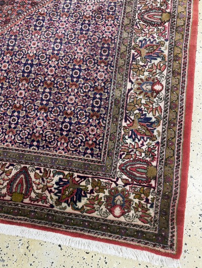 27072202f - Bidjar fein, Persien, Mitte 20.Jhd, Korkwolle auf Baumwolle, ca. 340 x 260 cm, EHZ: 2 ...