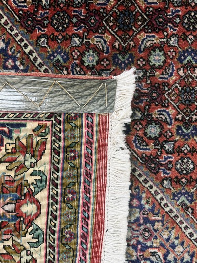 27072202j - Bidjar fein, Persien, Mitte 20.Jhd, Korkwolle auf Baumwolle, ca. 340 x 260 cm, EHZ: 2 ...