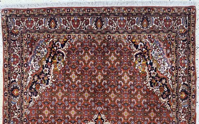 27076380a - Bijar cork, Persia, mid-20th century, corkwool, approx. 250 x 147 cm, condition: 1 -2 . ...