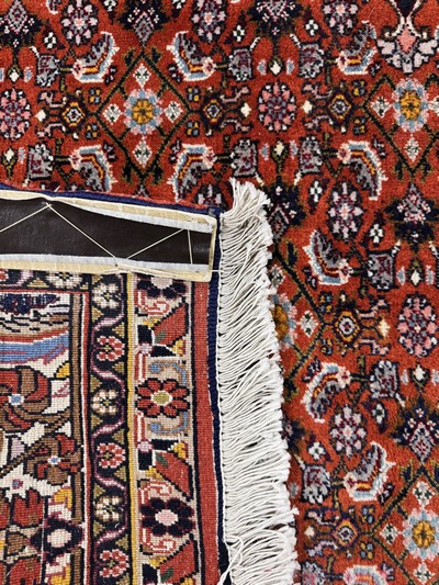 27076380e - Bijar cork, Persia, mid-20th century, corkwool, approx. 250 x 147 cm, condition: 1 -2 . ...