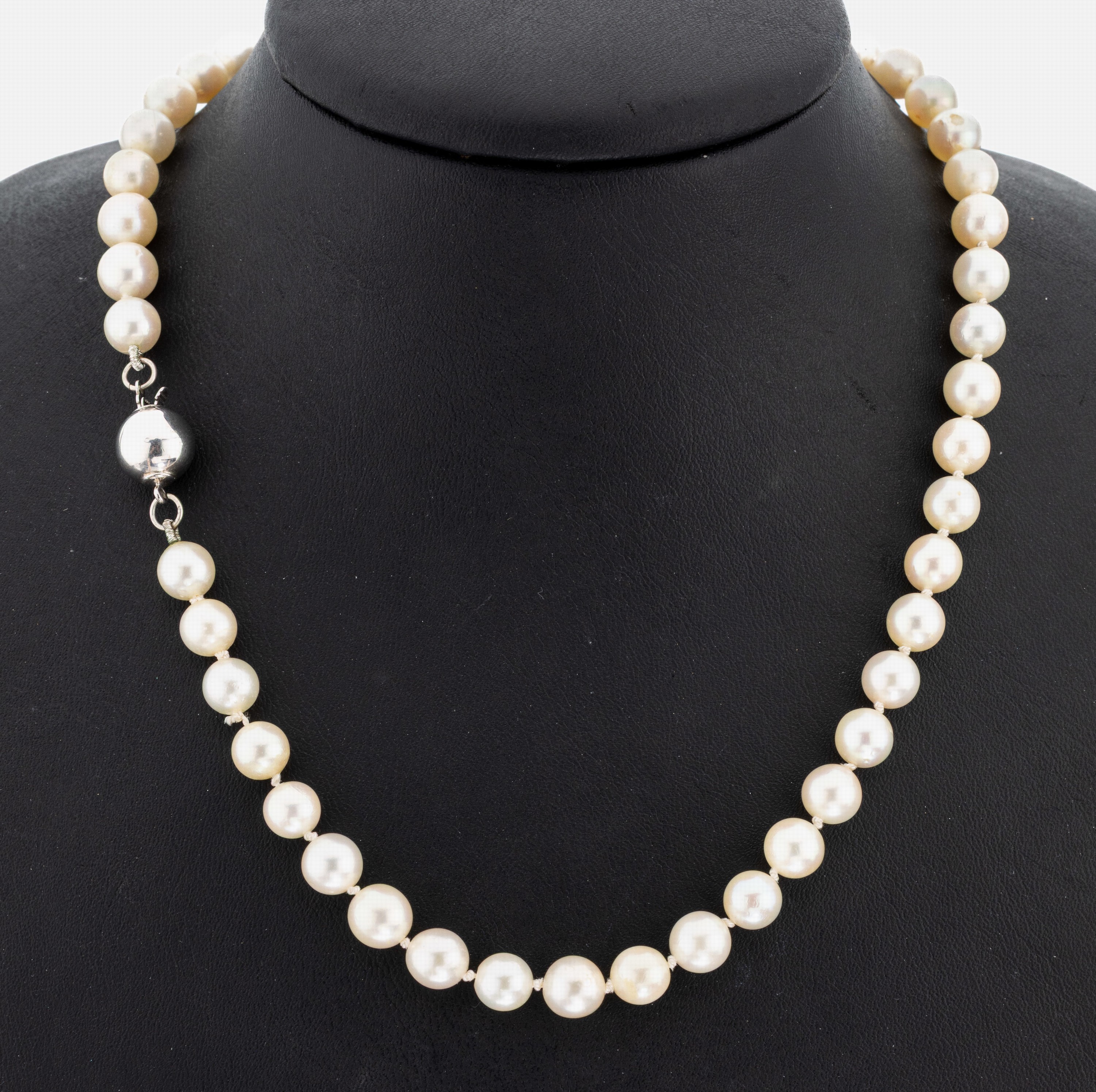 Image 27076679 - Long necklace made of cultured akoya pearls , 925er sphere-clasp, l. creamcoloured ...