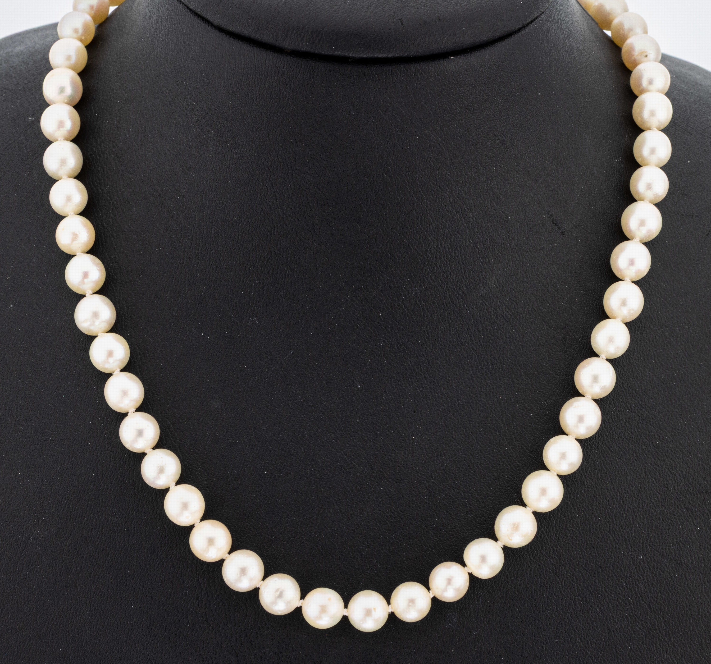 Image 27076687 - Long necklace made of cultured akoya pearls , endless, creamcoloured pearls, diam. ...