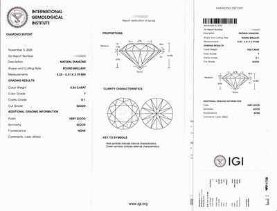 27076732a - Loser Brillant, 0.56 ct feines Weiß(F)/si1, eingeschweißt, IGI-Expertise anbei ...