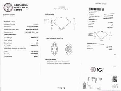 27076740a - Loser Brillant ca. 0.53 ct feines Weiß(G)/p1, eingeschweißt, IGI-Expertise anbei ...