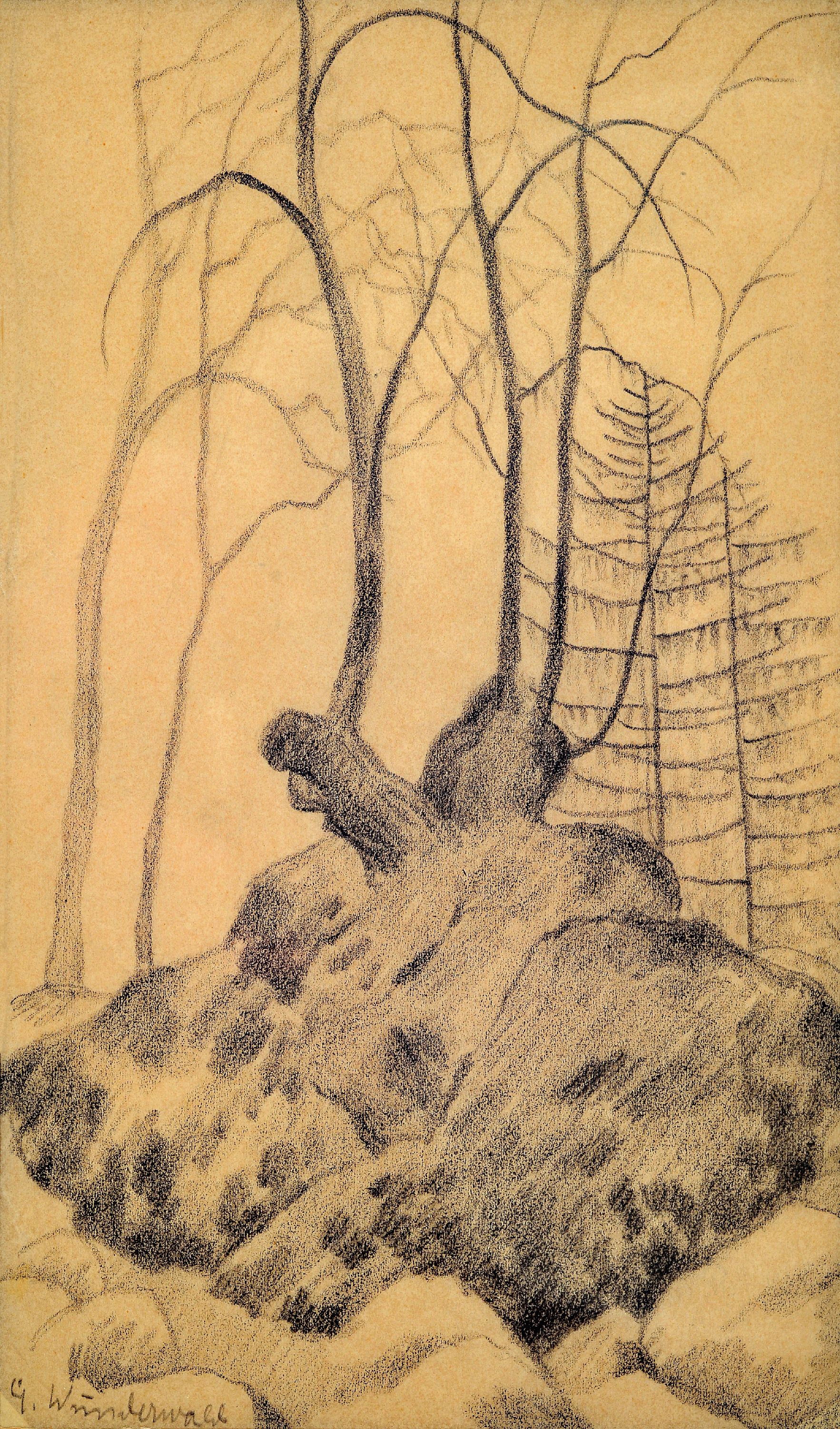 Image 27085754 - Gustav Wunderwald, 1882 Köln-1945 Berlin, Kahle Bäume, Bleistiftzeichnung auf Papier, ...