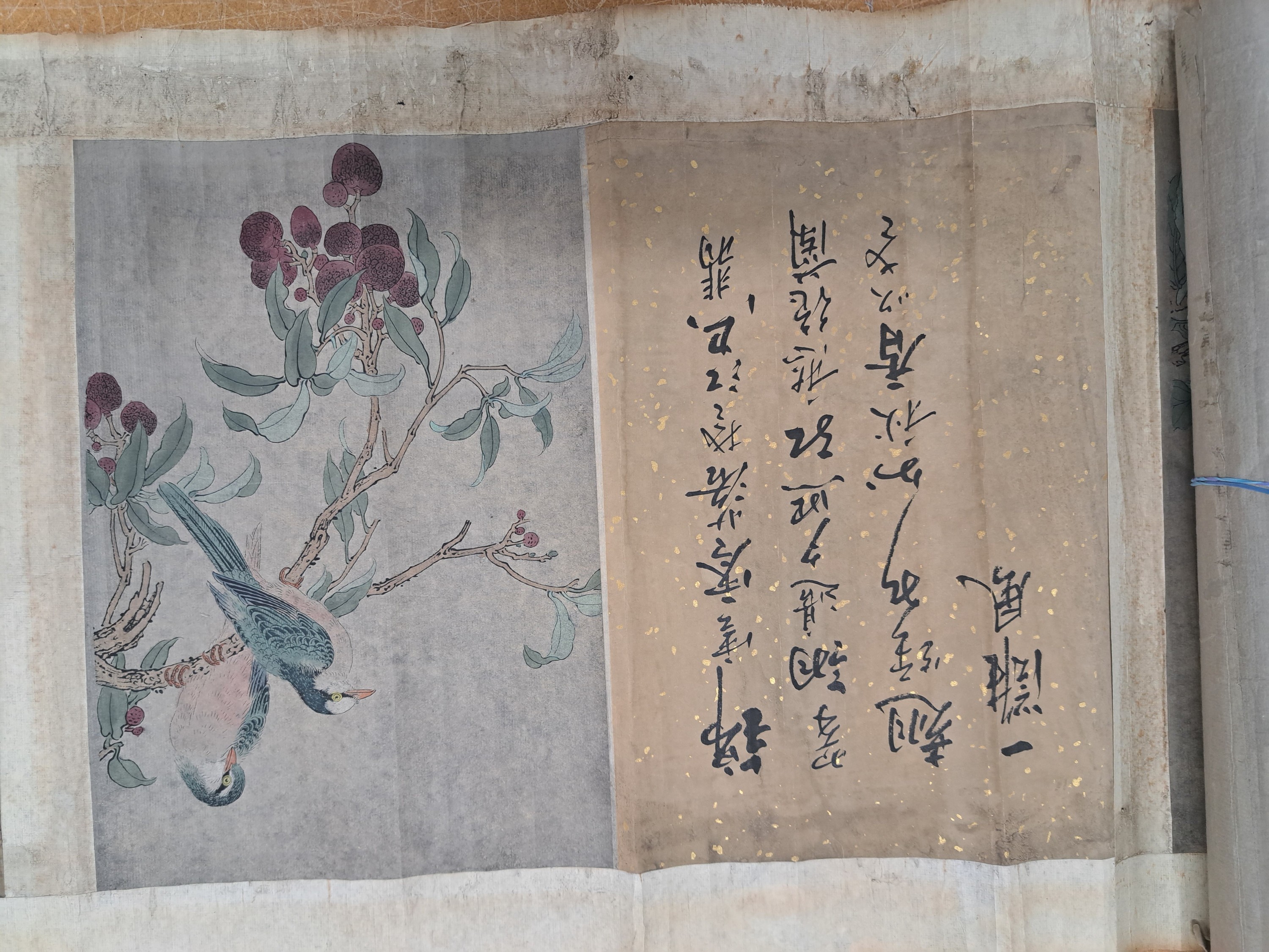 Detail f: Zwei Kalligraphie-Farbholzschnitt-Rollen, China, 19. Jh., 1x 6 versch. Figuren in Landschaft und Schrift, 1x 6 verschiedene Tierdarstellungen und ...