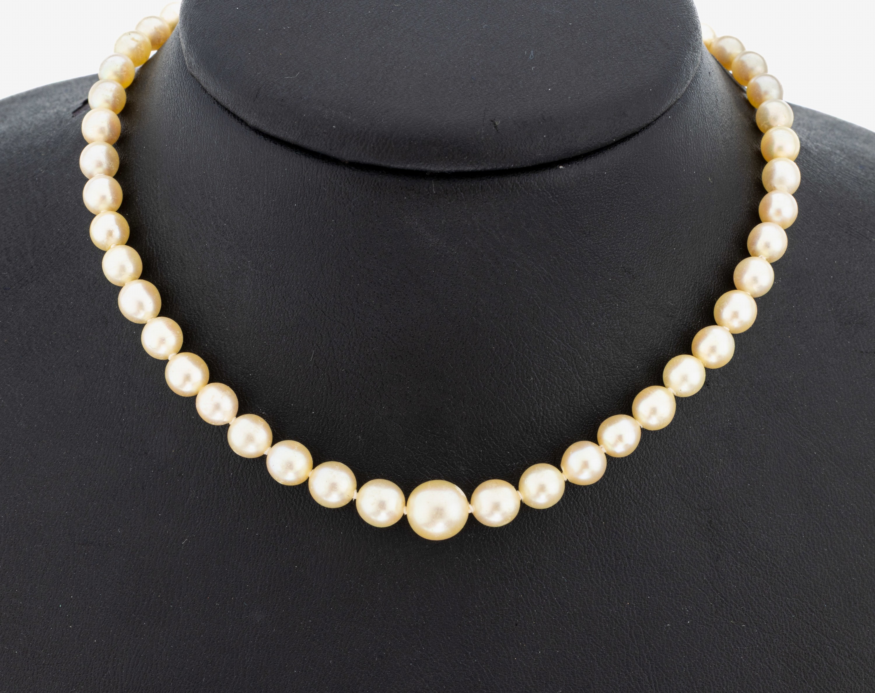 Image 27087304 - Perl-Collier mit 14 kt Gold Schließe, GG 585/000, cremefarb. Akoyazuchtperlen im ...