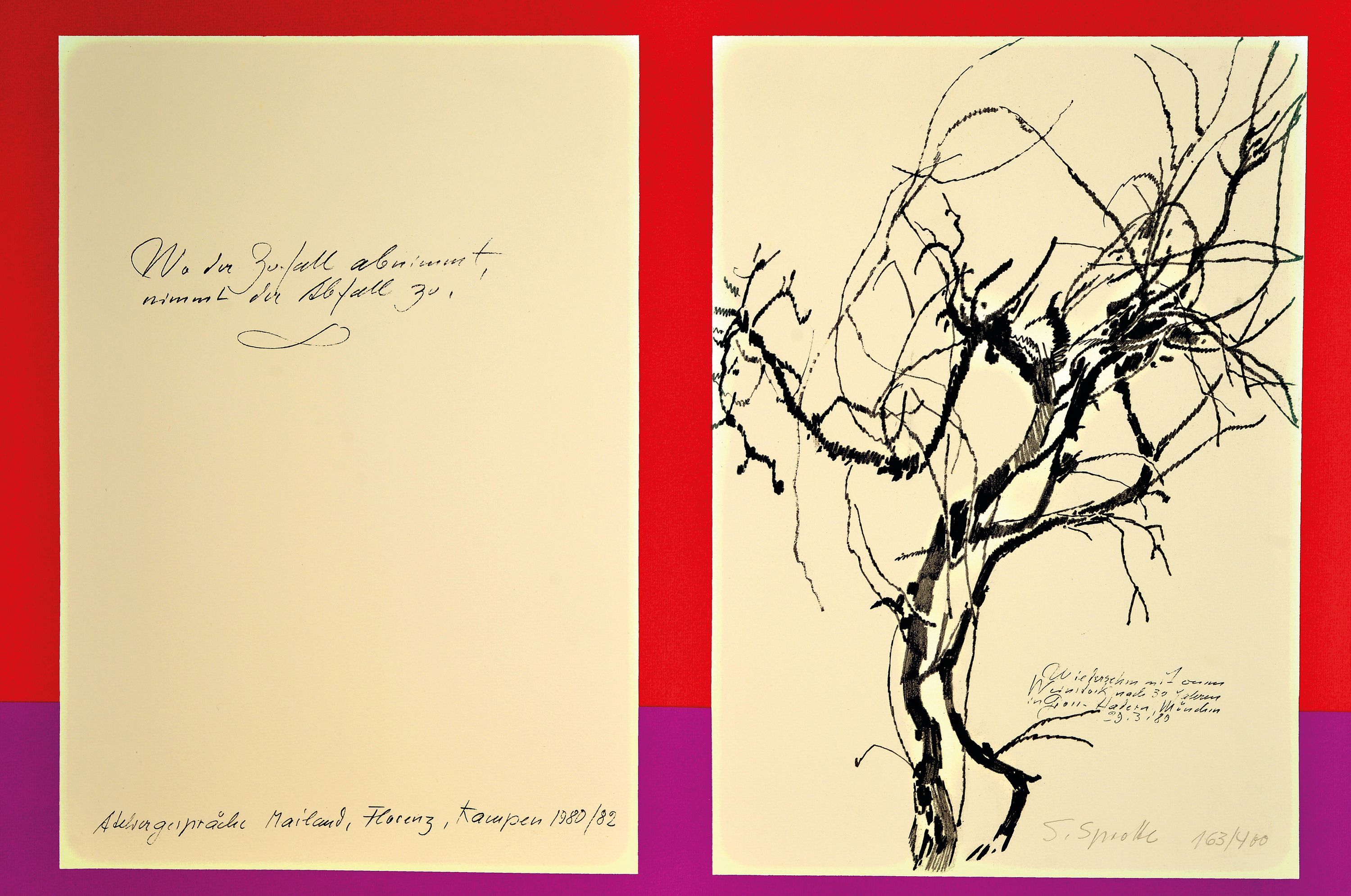 Image 27088078 - Siegward Sprotte, 1913 Potsdam-2004 Sylt, Konvolut aus 4 Lithographien, florales Motiv ...