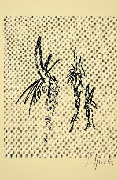 27088078x - Siegward Sprotte, 1913 Potsdam-2004 Sylt, Konvolut aus 4 Lithographien, florales Motiv ...