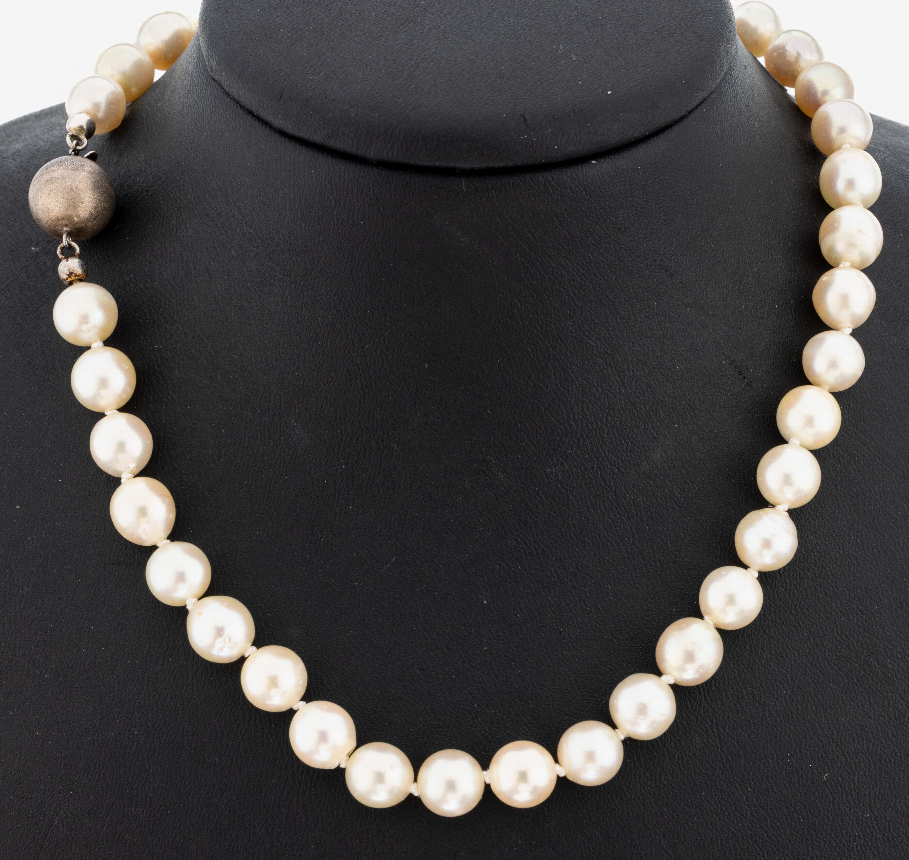 Image 27092700 - Perl-Collier, Akoyazuchtperlen, D. ca. 8-8.5 mm, L. ca. 95 cm, Kugelschließe 925er ...