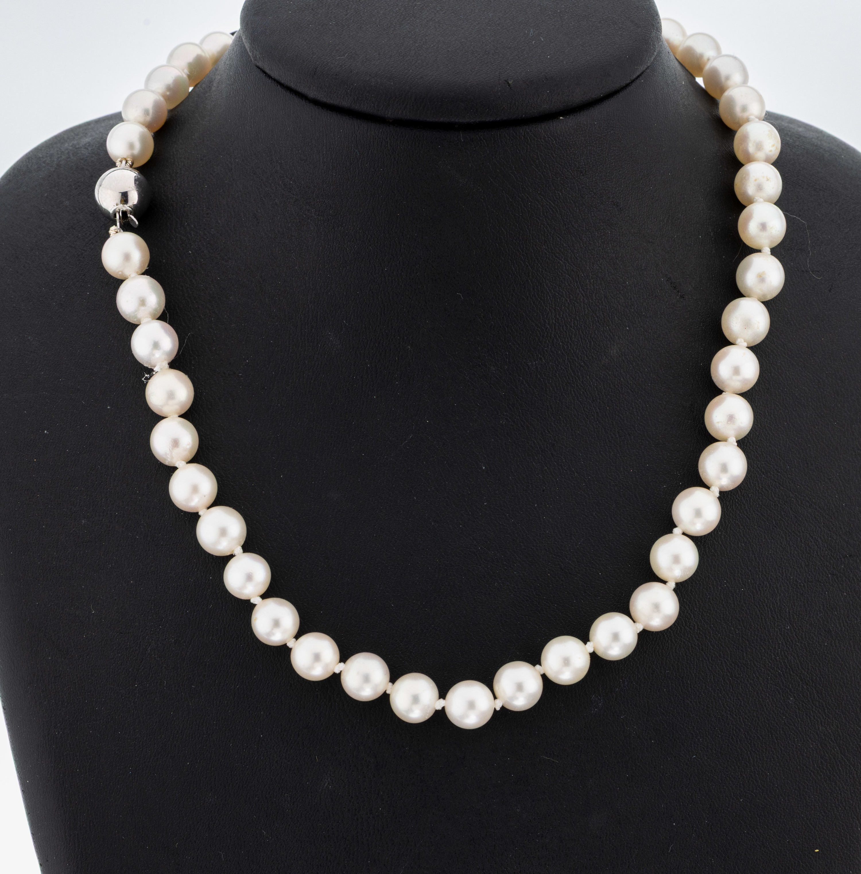 Image 27092708 - Perl-Collier, Akoyazuchtperlen, D. ca. 8- 8.5 mm, einzeln geknotet, L. ca. 92 cm, ...