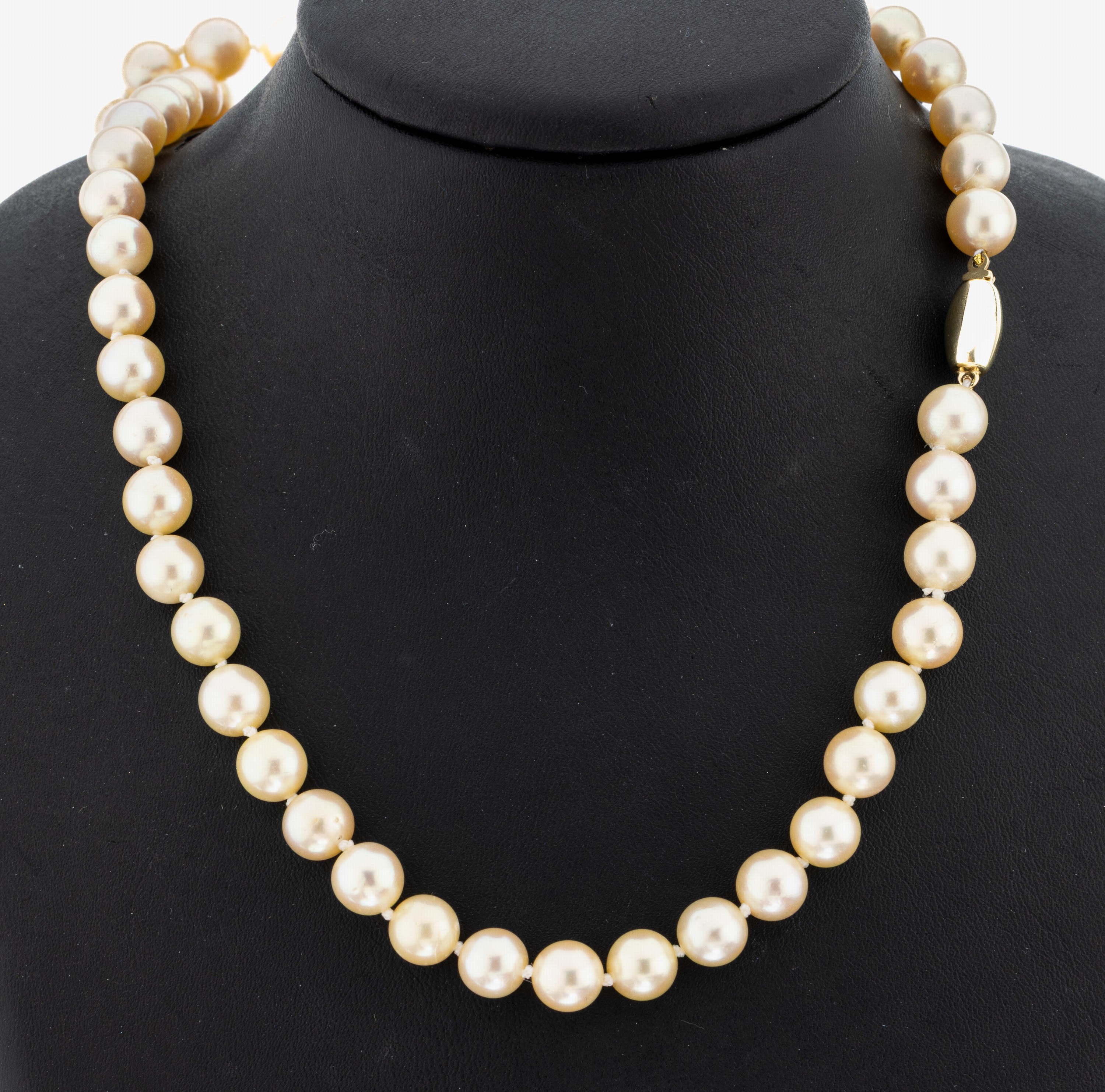 Image 27092710 - Perl-Collier mit 14 kt Gold Schließe, GG 585/000, Akoyazuchtperlen, D. ca. 8.6-9 mm, ...