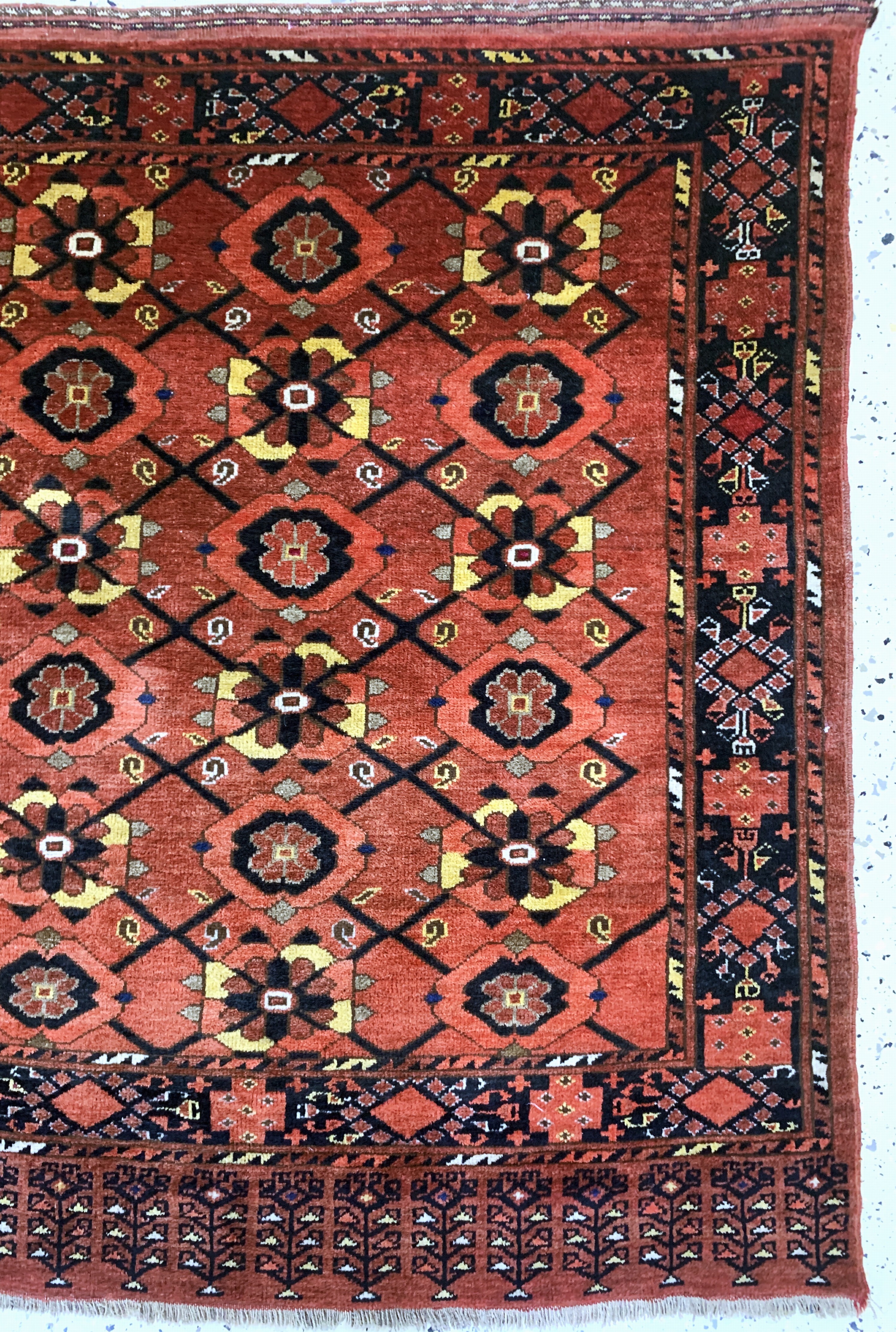 Detail a: Beschir Tschowal antik, Turkmenistan, 19.Jhd, Wolle auf Wolle, ca. 166 x 120 cm, EHZ: 2-3