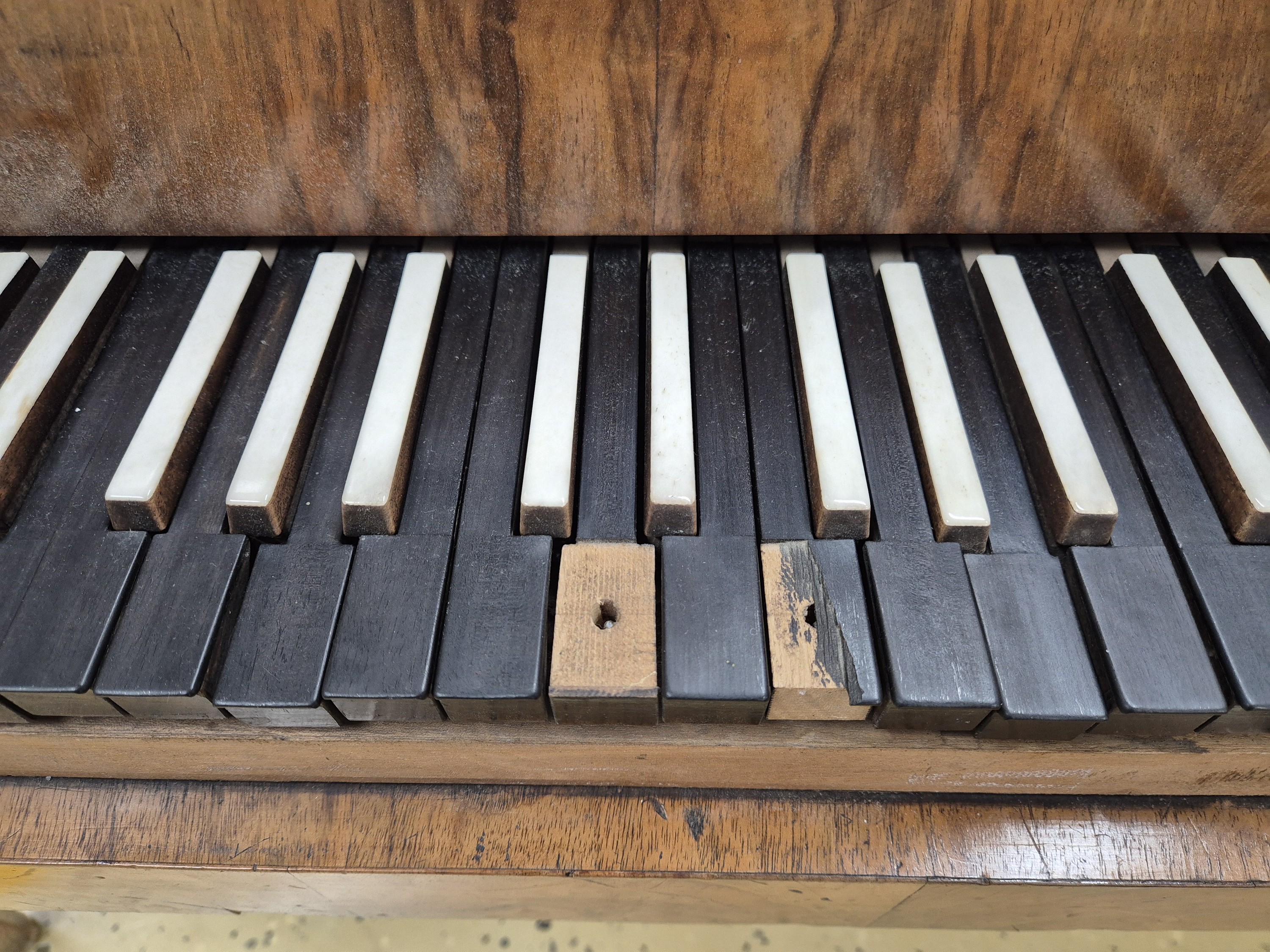 Detail e: Süddeutsches Tafelklavier, wohl Christian Gaiser, Rastatt, um 1818, Nussbaum furnierter Korpus, 4 quadratische sich verjüngende Füße, 3 ...