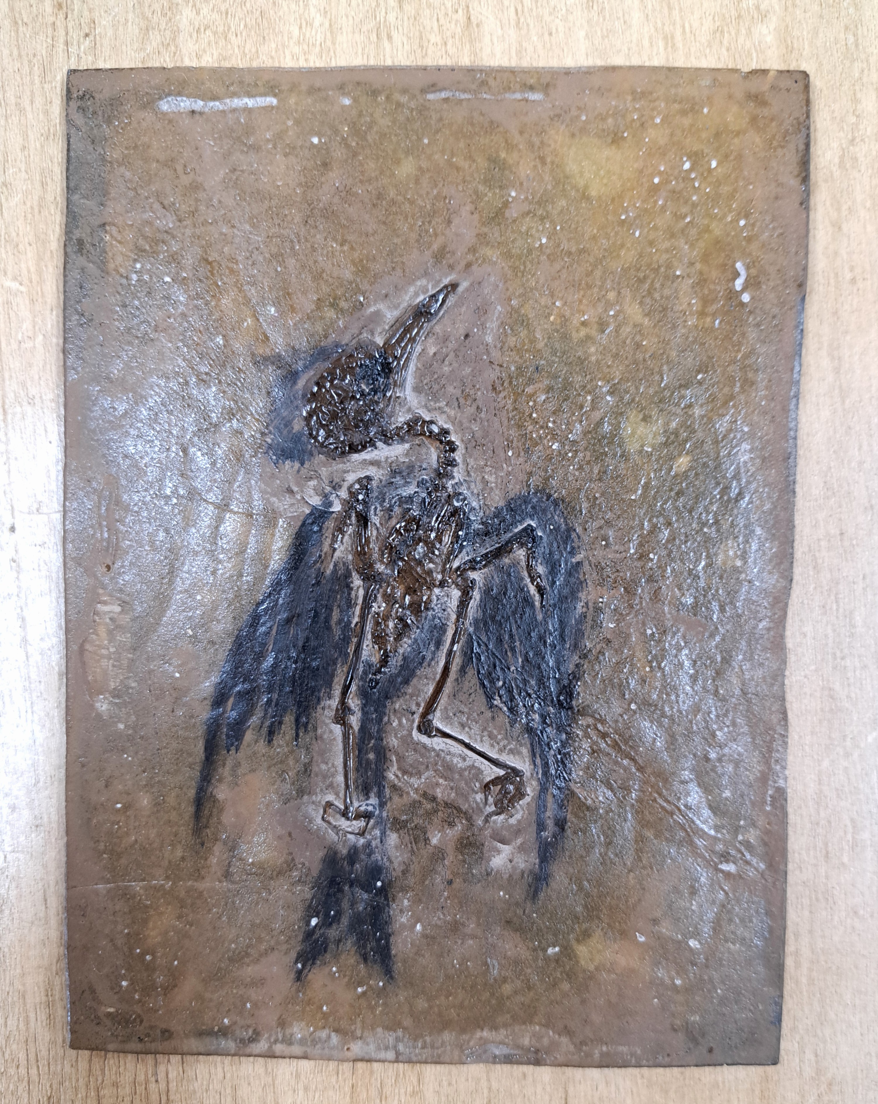Detail a: Besonders gut erhaltenes Fossil wohl eines "Primozygodactylus", Grube Messel, Darmstadt, L.ca. 13cm, das freigelegte Fossil wurde durch die ...