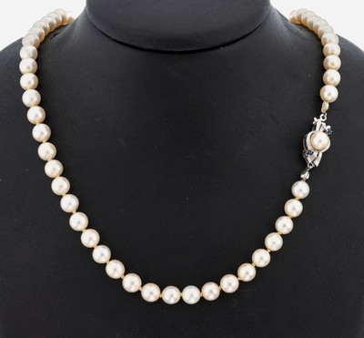 Image Perl-Collier mit 18 kt Gold Perl-Saphir -Schließe, WG 750/000, Akoyazuchtperlen, D.ca. ...