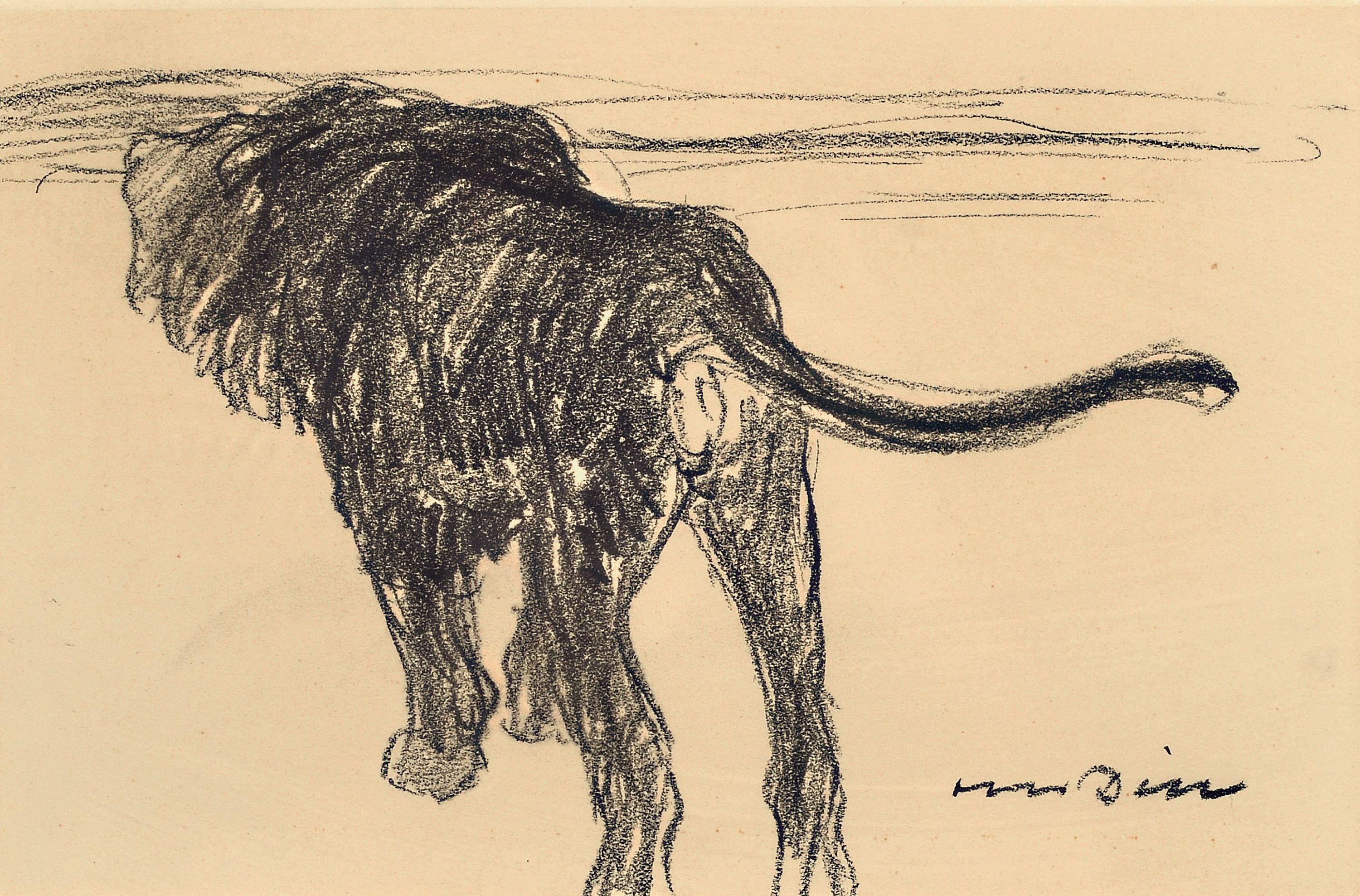 Image 27100987 - Otto Dill, 1884 Neustadt a.d. Wstr.-1957 Bad Dürkheim, Graphitzeichnung, Löwe ...