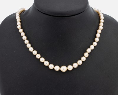 Image Perl-Collier, Zuchtperlen im Verlauf, D. ca. 3.6-7.8 mm, L. ca. 46 cm, Steckschließe ...