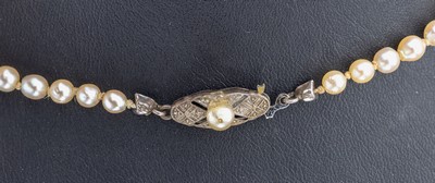 27101297a - Perl-Collier, Zuchtperlen im Verlauf, D. ca. 3.6-7.8 mm, L. ca. 46 cm, Steckschließe ...