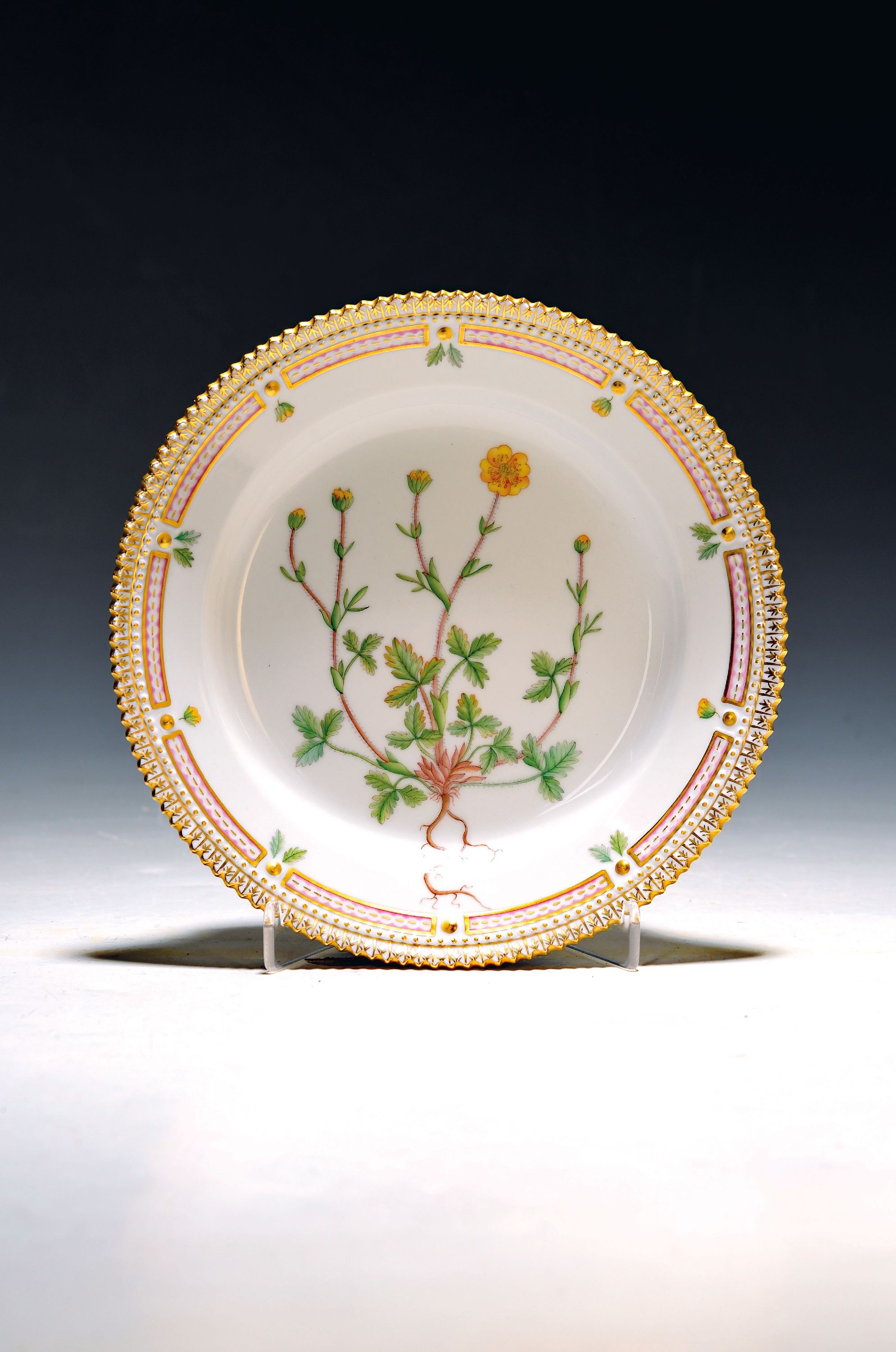 Image 27102195 - Teller, Flora Danica, Royal Copenhagen, Porzellan, Potentilla Nivea L., handbemalt, ...