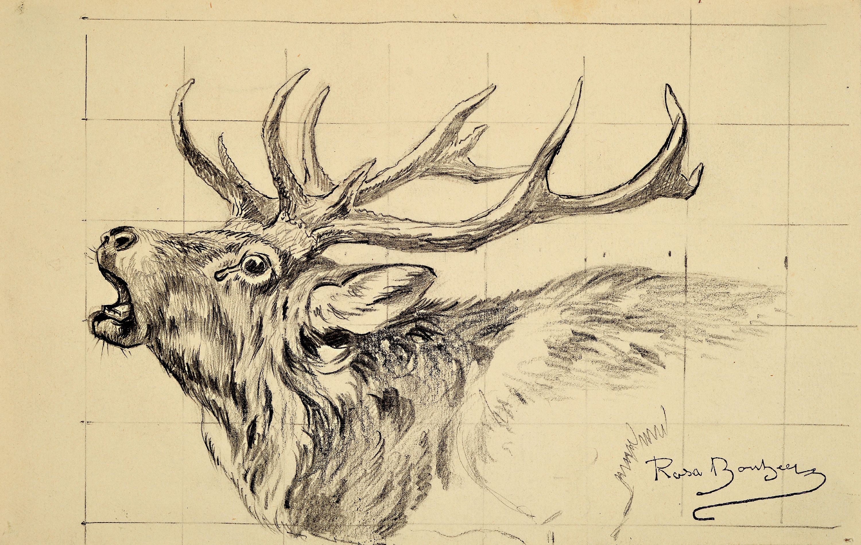 Image 27102703 - Rosa Bonheur, 1822-1899, Sammlung aus 6 Tierstudien in Bleistift auf Papier, alle mit ...