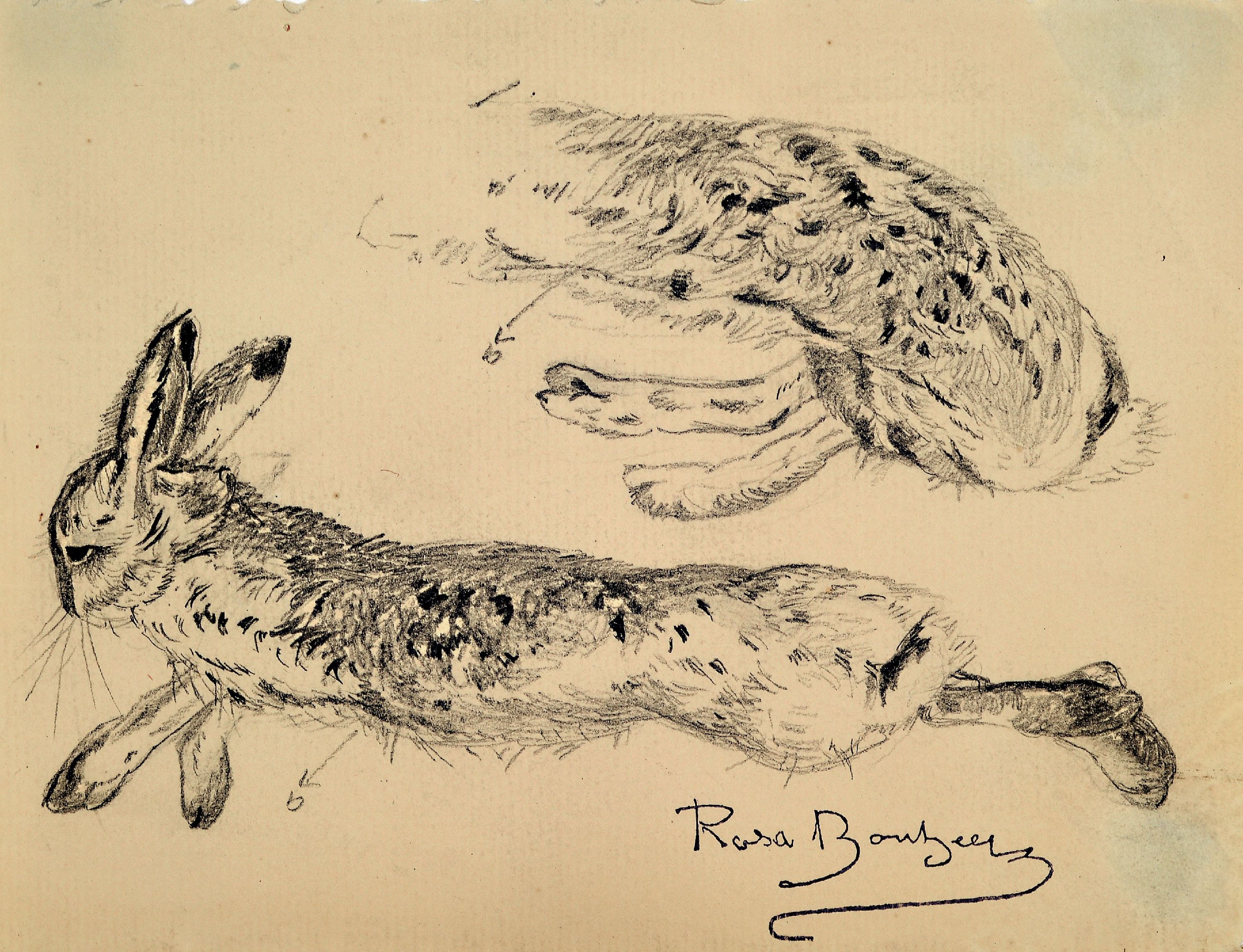 Detail a: Rosa Bonheur, 1822-1899, Sammlung aus 6 Tierstudien in Bleistift auf Papier, alle mit Signaturstempel (Lugt 275), von ca. 11.5x 15cm bis ca. ...