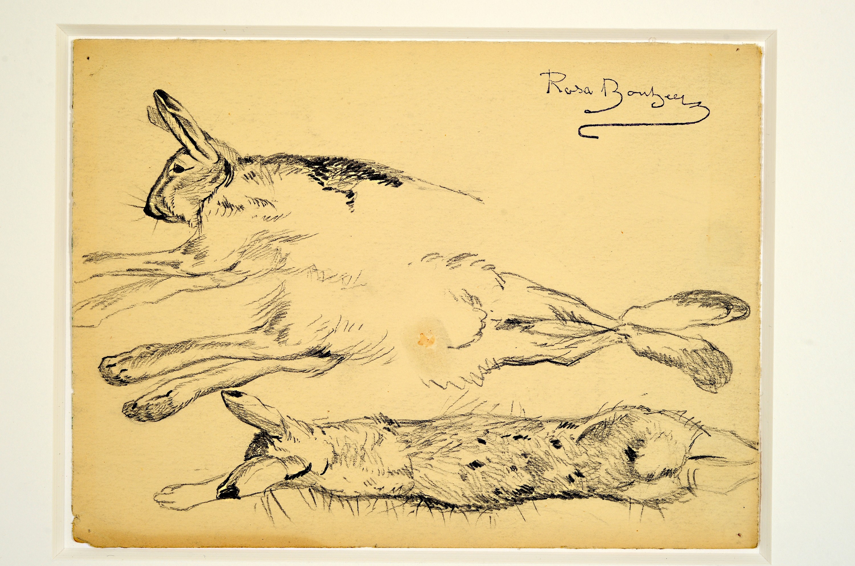 Detail c: Rosa Bonheur, 1822-1899, Sammlung aus 6 Tierstudien in Bleistift auf Papier, alle mit Signaturstempel (Lugt 275), von ca. 11.5x 15cm bis ca. ...